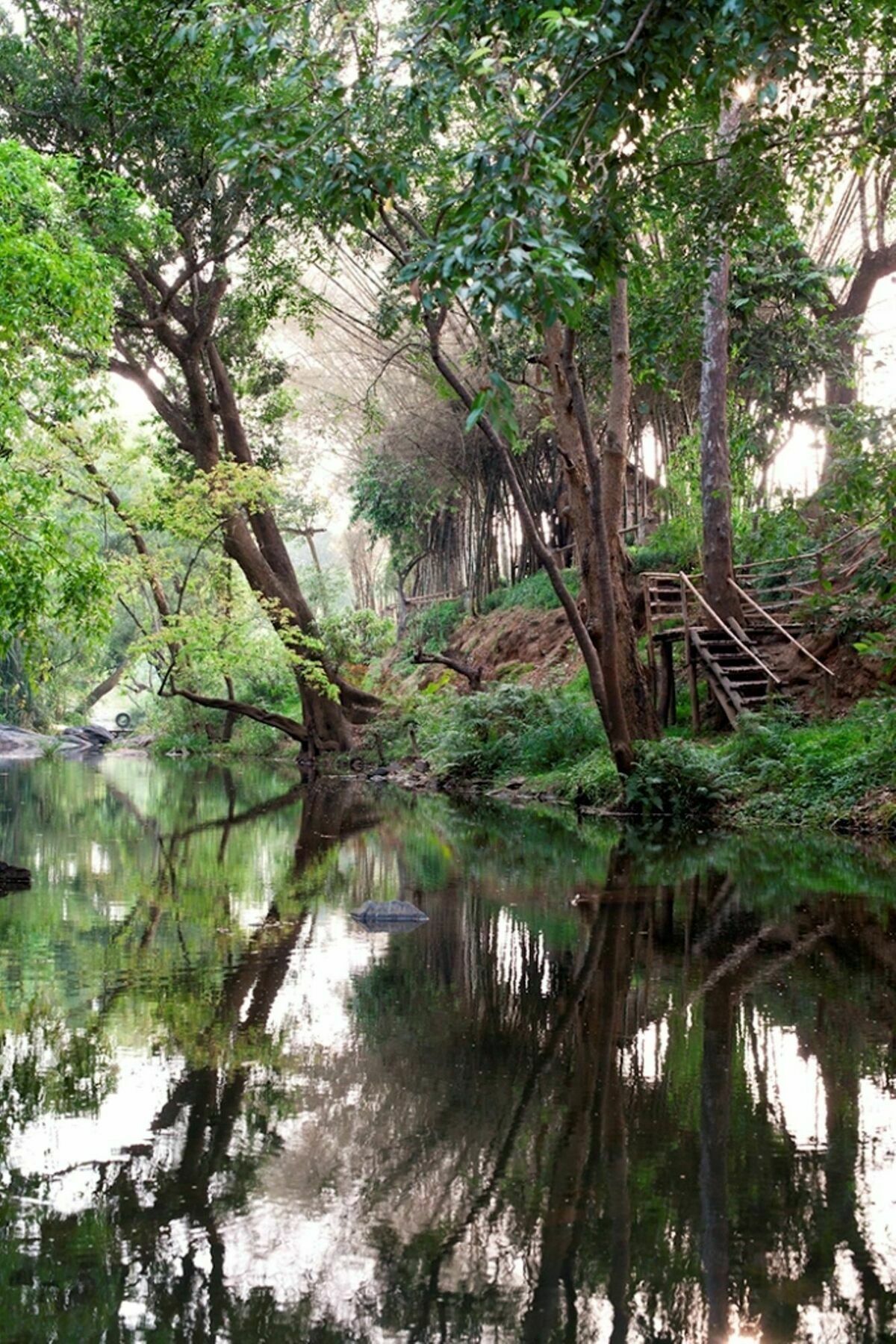 Amanvana Spa Resort, Coorg Kushālnagar Eksteriør bilde