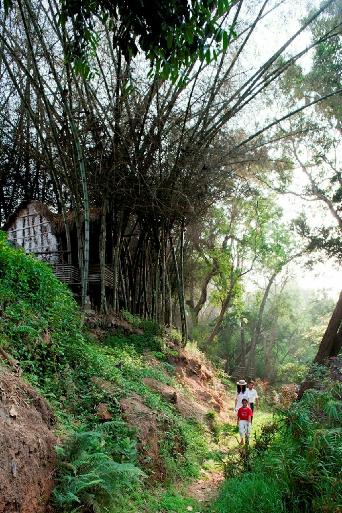 Amanvana Spa Resort, Coorg Kushālnagar Eksteriør bilde