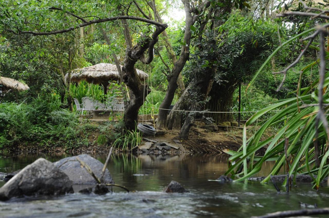 Amanvana Spa Resort, Coorg Kushālnagar Eksteriør bilde