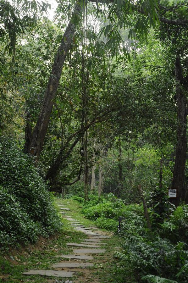 Amanvana Spa Resort, Coorg Kushālnagar Eksteriør bilde