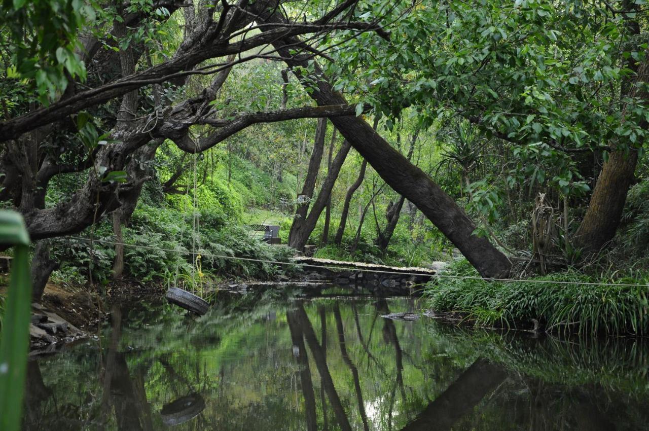 Amanvana Spa Resort, Coorg Kushālnagar Eksteriør bilde